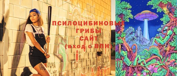 шишки Алексеевка