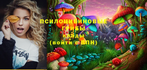 MDMA Premium VHQ Алзамай