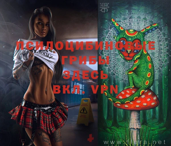 шишки Алексеевка