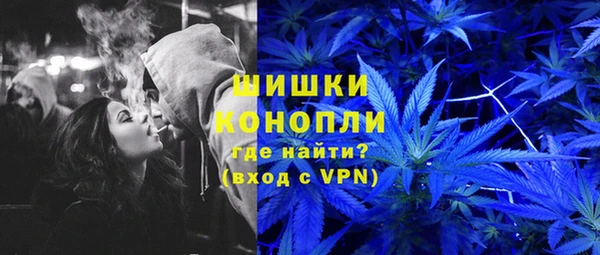 шишки Алексеевка