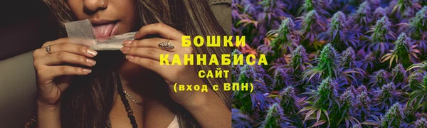 шишки Алексеевка